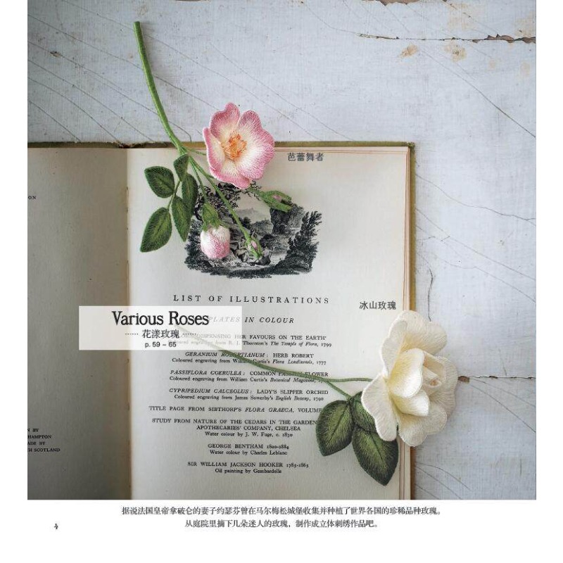 3D Stumpwork Embroidery Book:  - Embroidery World ulasan dan harga